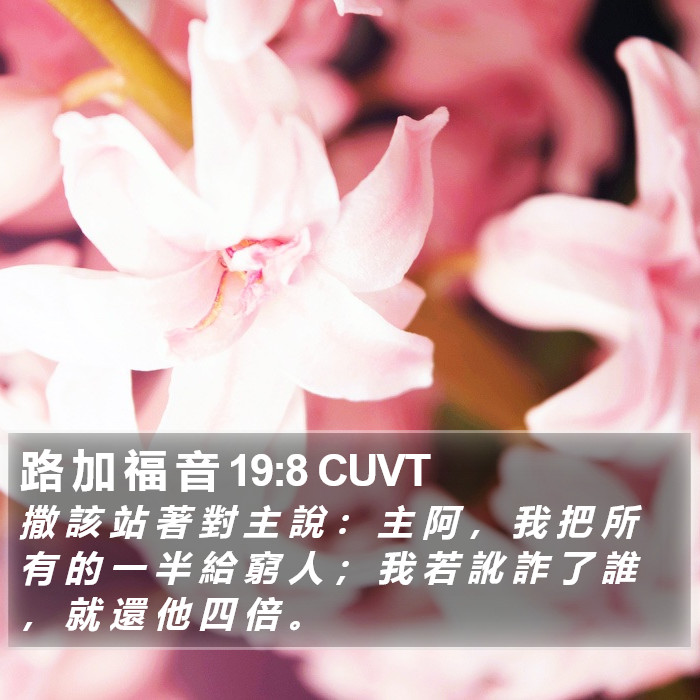 路 加 福 音 19:8 CUVT Bible Study