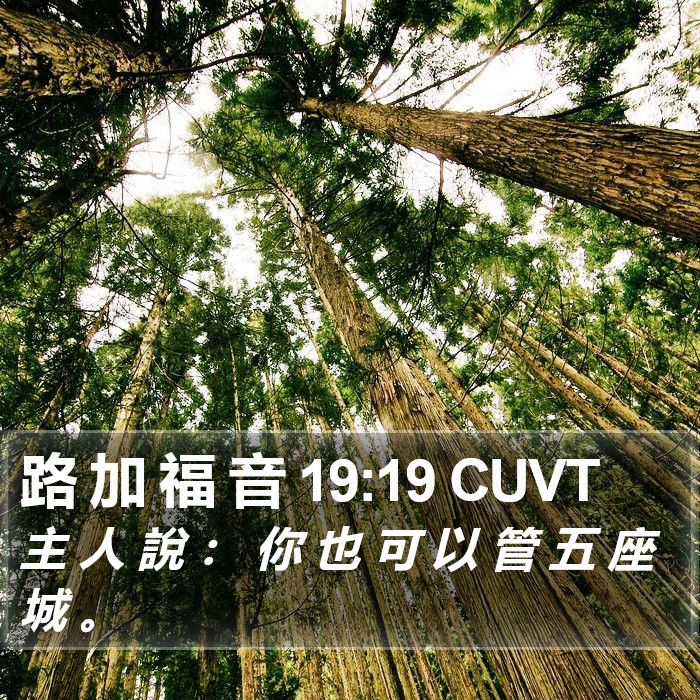 路 加 福 音 19:19 CUVT Bible Study