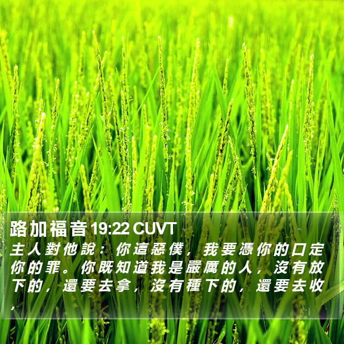 路 加 福 音 19:22 CUVT Bible Study