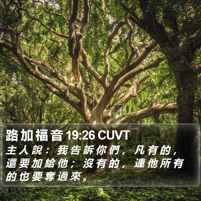 路 加 福 音 19:26 CUVT Bible Study