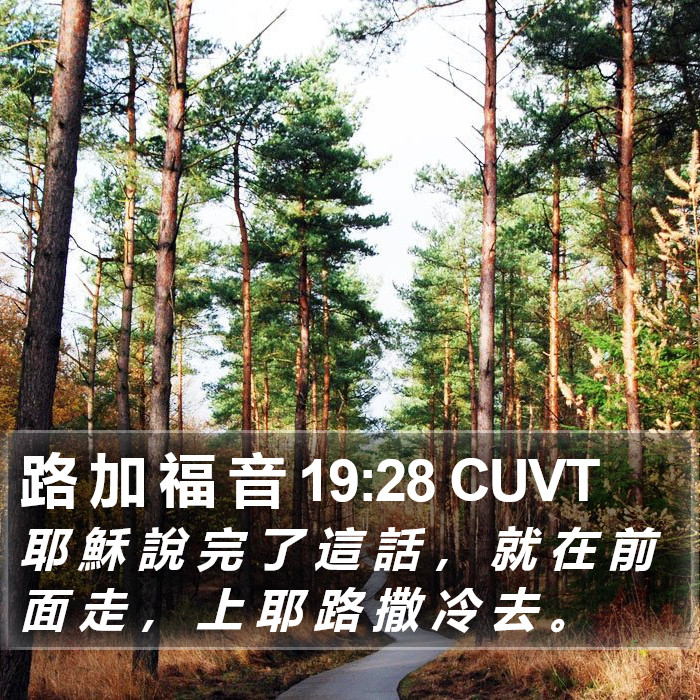 路 加 福 音 19:28 CUVT Bible Study
