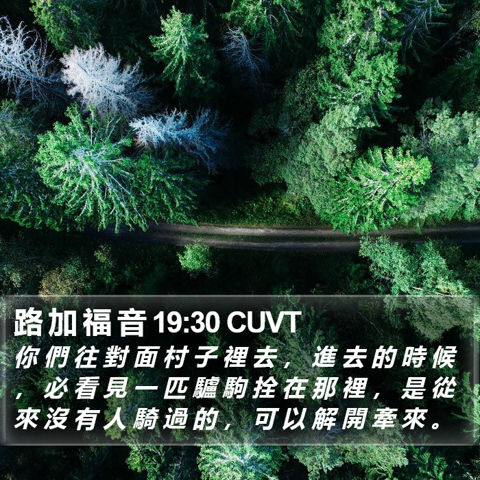 路 加 福 音 19:30 CUVT Bible Study