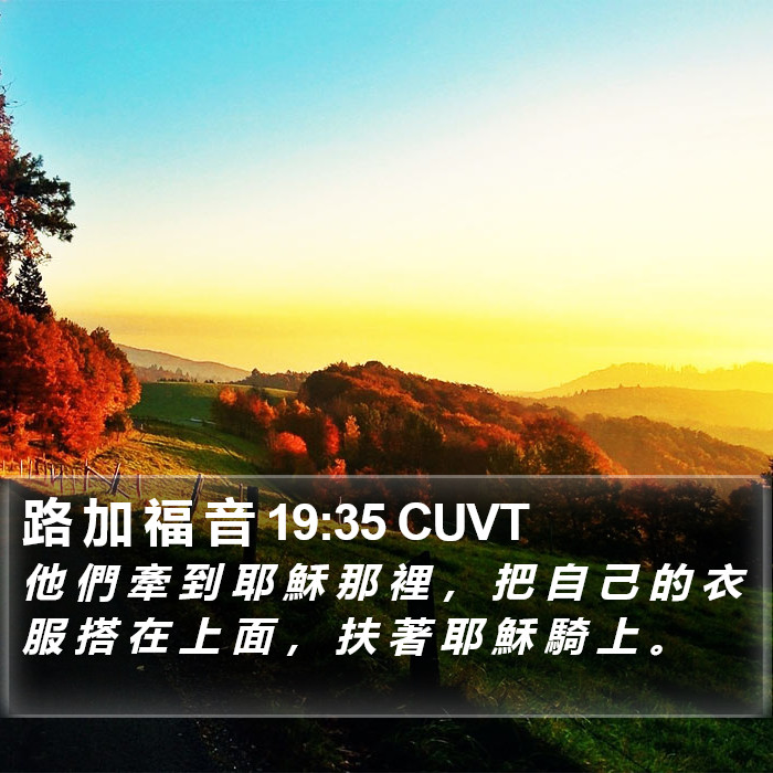 路 加 福 音 19:35 CUVT Bible Study