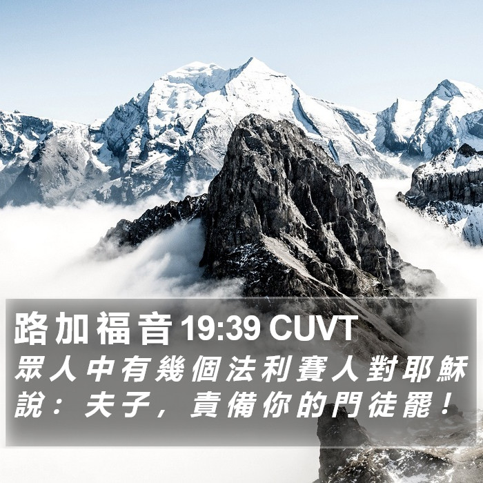 路 加 福 音 19:39 CUVT Bible Study