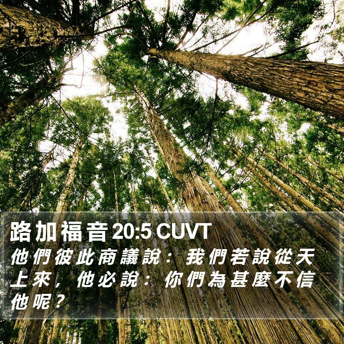 路 加 福 音 20:5 CUVT Bible Study