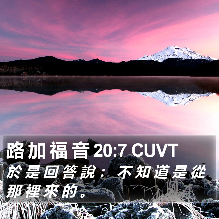 路 加 福 音 20:7 CUVT Bible Study