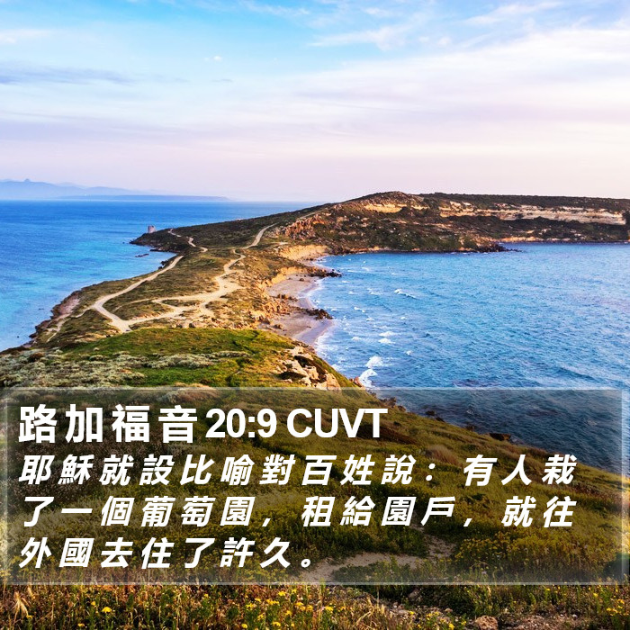 路 加 福 音 20:9 CUVT Bible Study