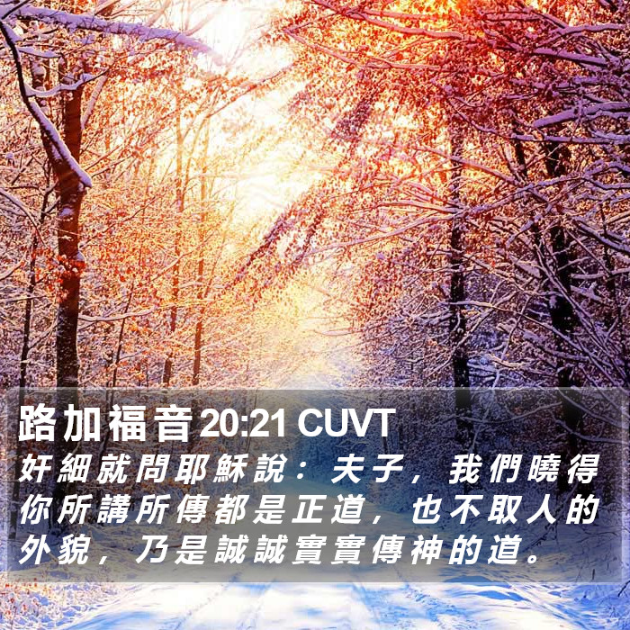 路 加 福 音 20:21 CUVT Bible Study