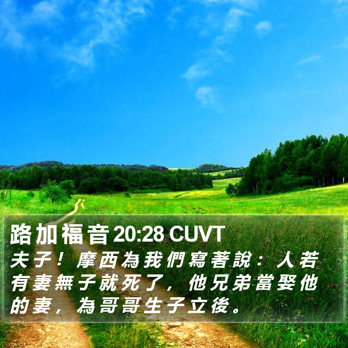 路 加 福 音 20:28 CUVT Bible Study