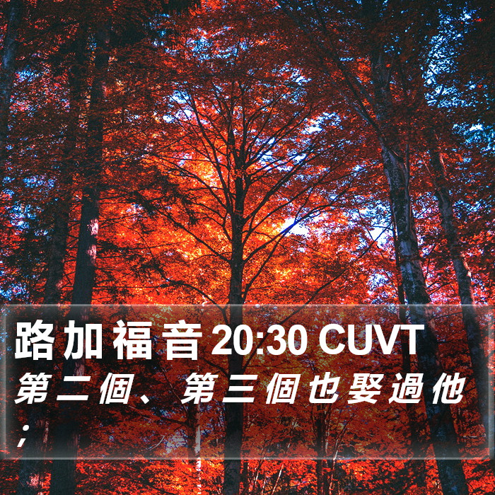路 加 福 音 20:30 CUVT Bible Study