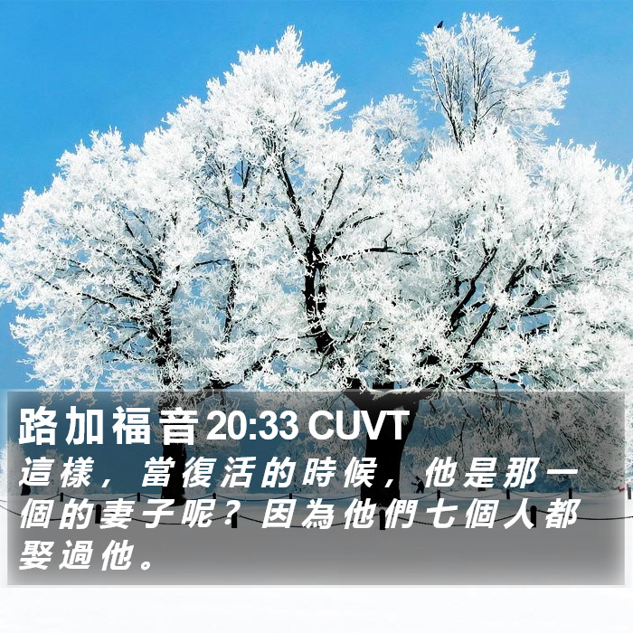 路 加 福 音 20:33 CUVT Bible Study