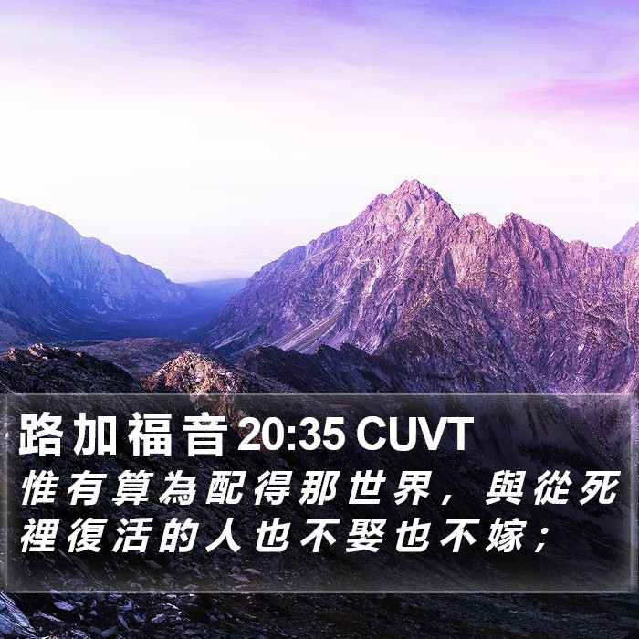 路 加 福 音 20:35 CUVT Bible Study