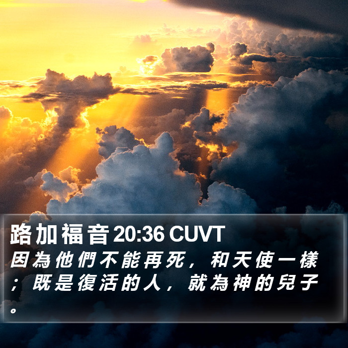 路 加 福 音 20:36 CUVT Bible Study