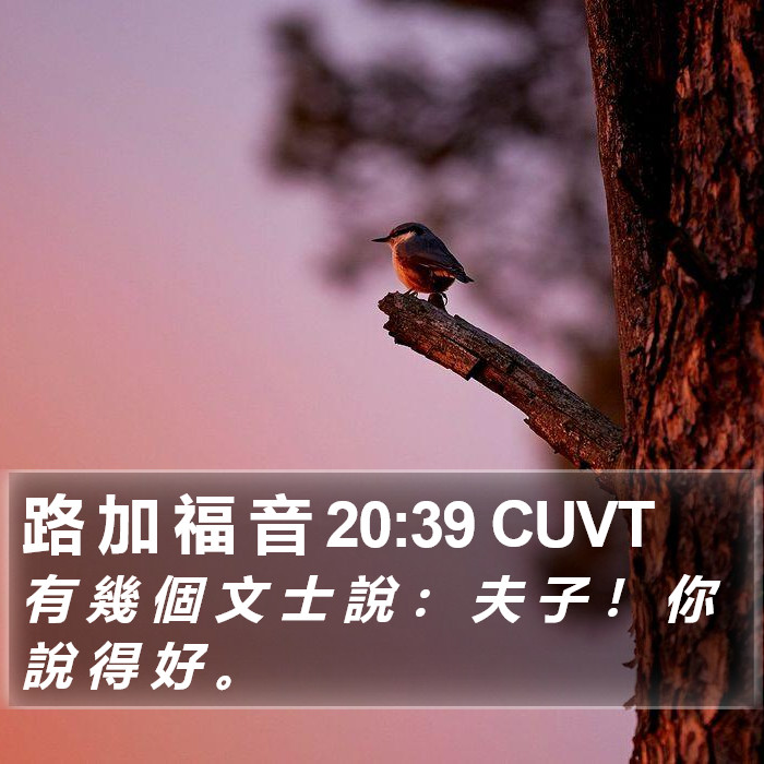 路 加 福 音 20:39 CUVT Bible Study