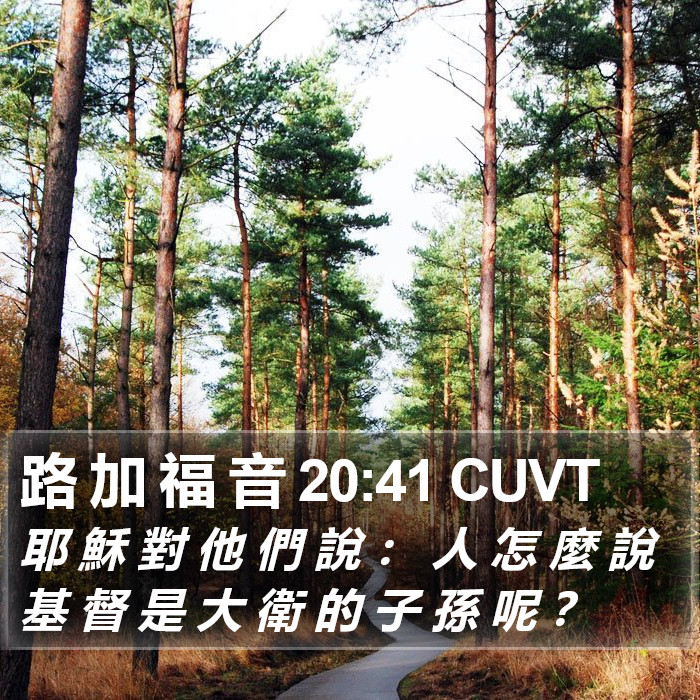 路 加 福 音 20:41 CUVT Bible Study