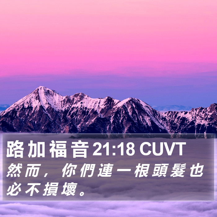 路 加 福 音 21:18 CUVT Bible Study