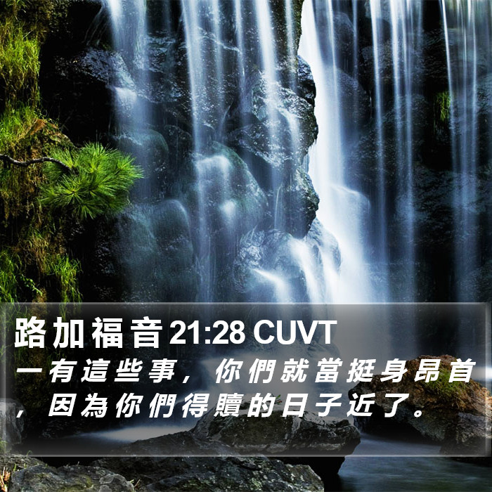 路 加 福 音 21:28 CUVT Bible Study