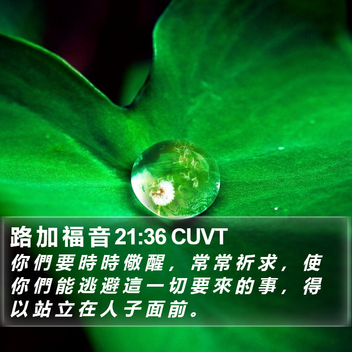 路 加 福 音 21:36 CUVT Bible Study