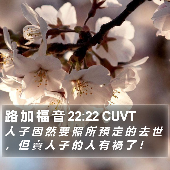 路 加 福 音 22:22 CUVT Bible Study