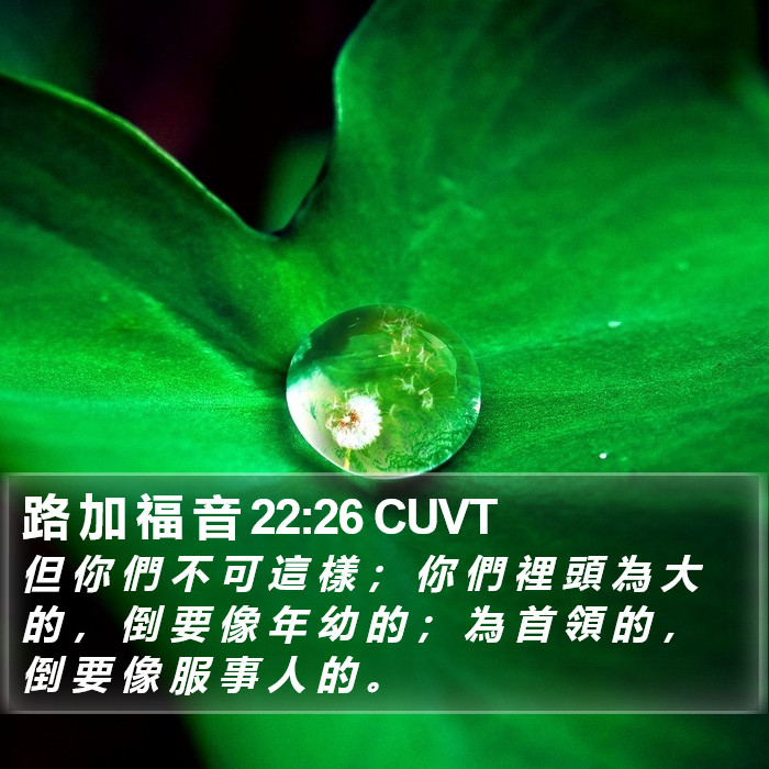 路 加 福 音 22:26 CUVT Bible Study