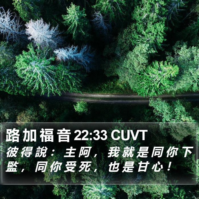 路 加 福 音 22:33 CUVT Bible Study