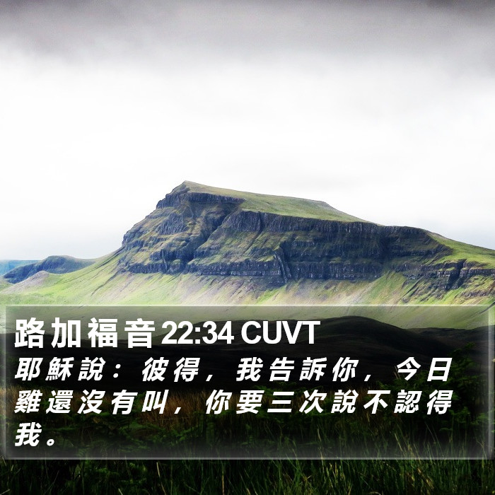 路 加 福 音 22:34 CUVT Bible Study
