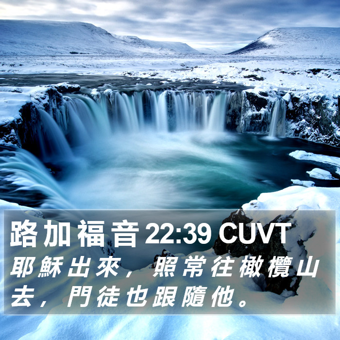 路 加 福 音 22:39 CUVT Bible Study