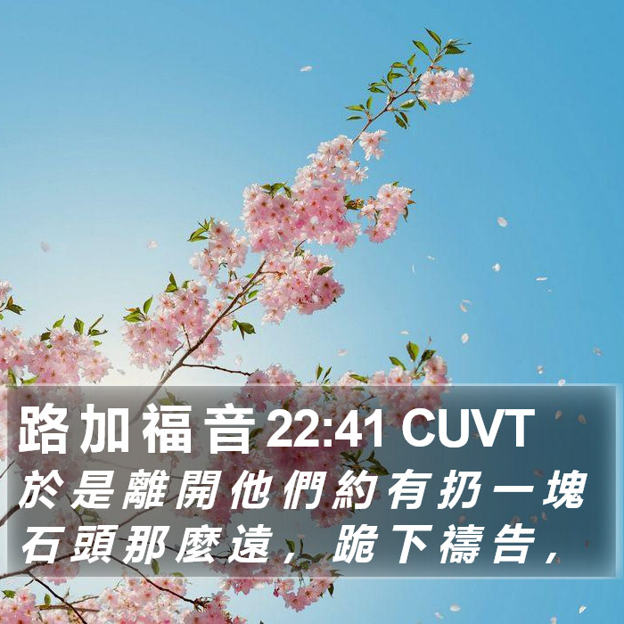 路 加 福 音 22:41 CUVT Bible Study