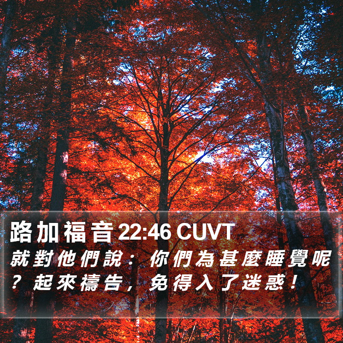 路 加 福 音 22:46 CUVT Bible Study