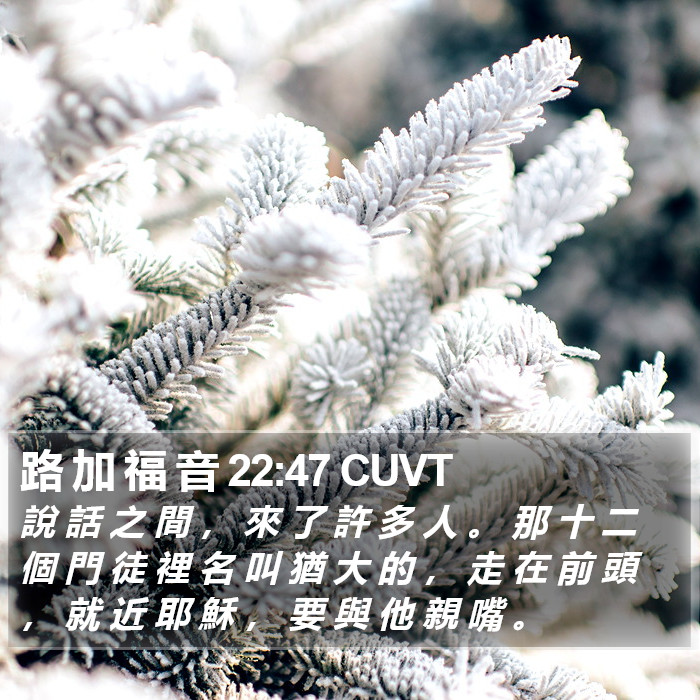 路 加 福 音 22:47 CUVT Bible Study