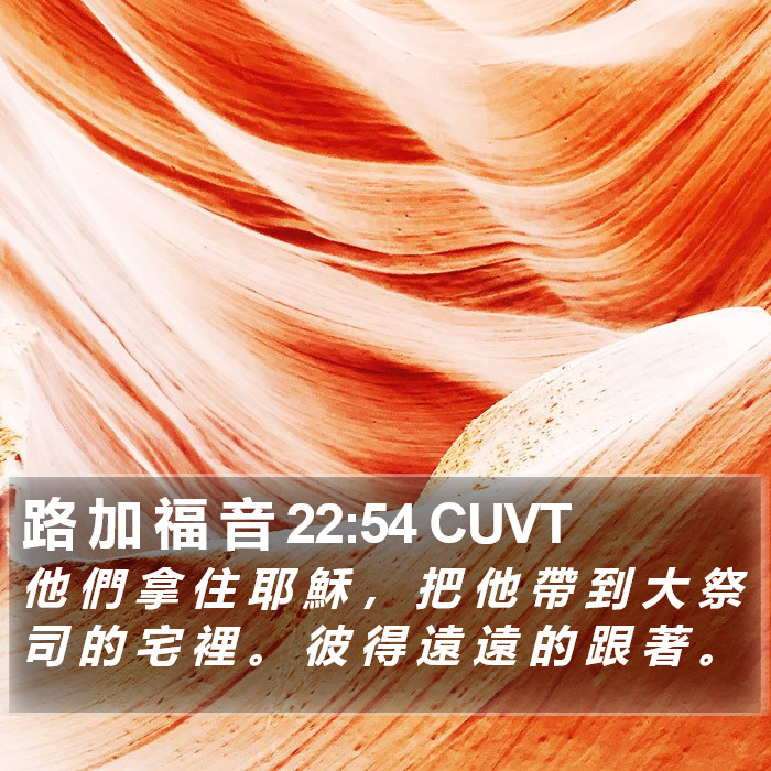 路 加 福 音 22:54 CUVT Bible Study