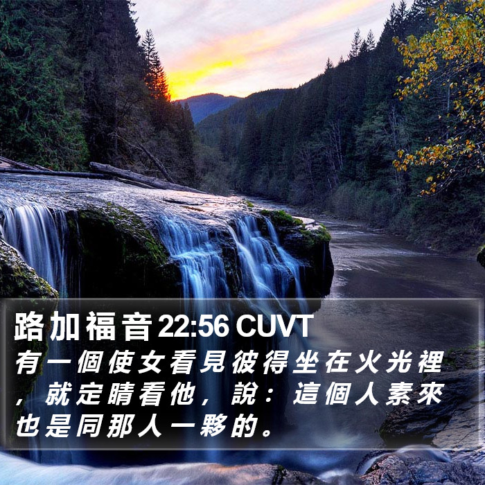 路 加 福 音 22:56 CUVT Bible Study
