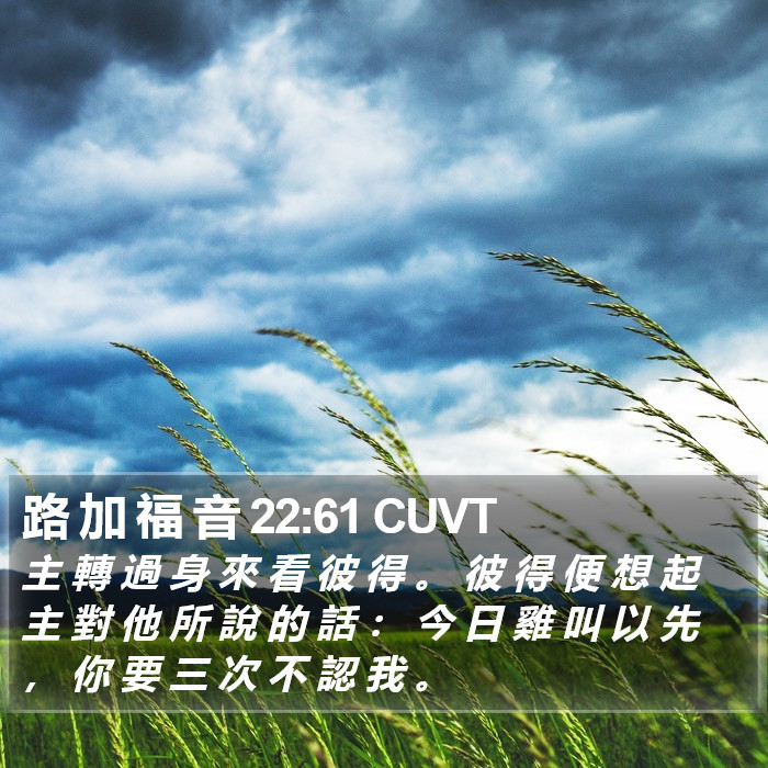 路 加 福 音 22:61 CUVT Bible Study