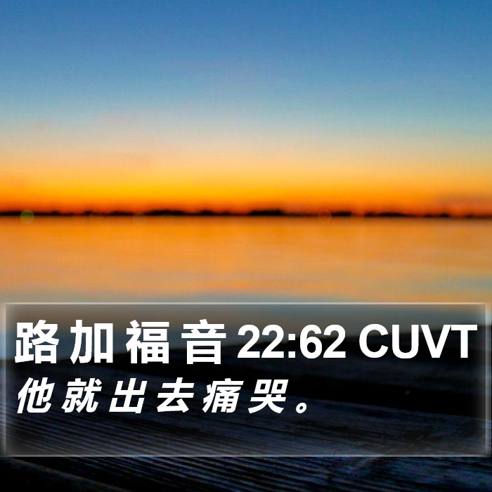 路 加 福 音 22:62 CUVT Bible Study