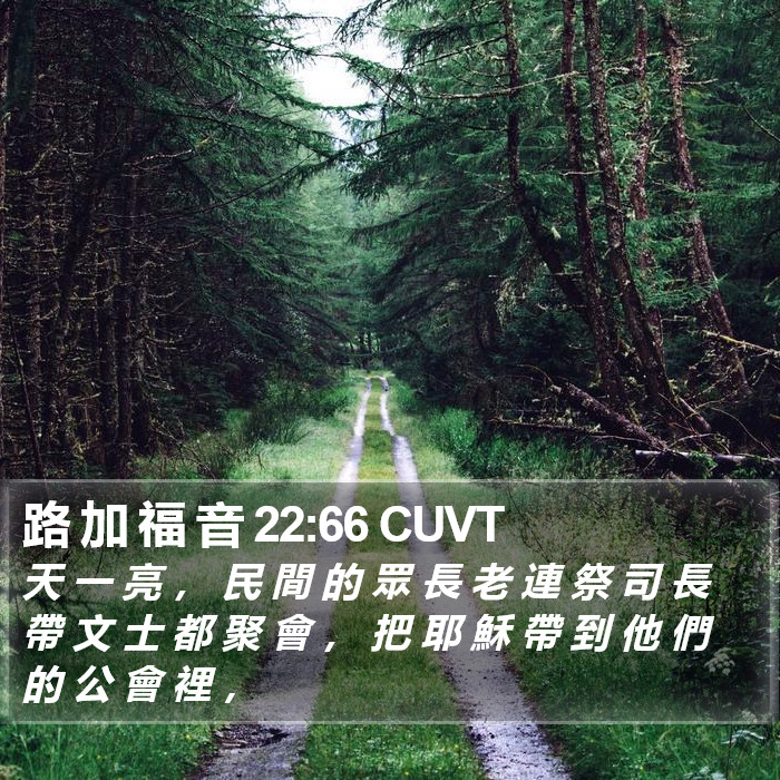路 加 福 音 22:66 CUVT Bible Study