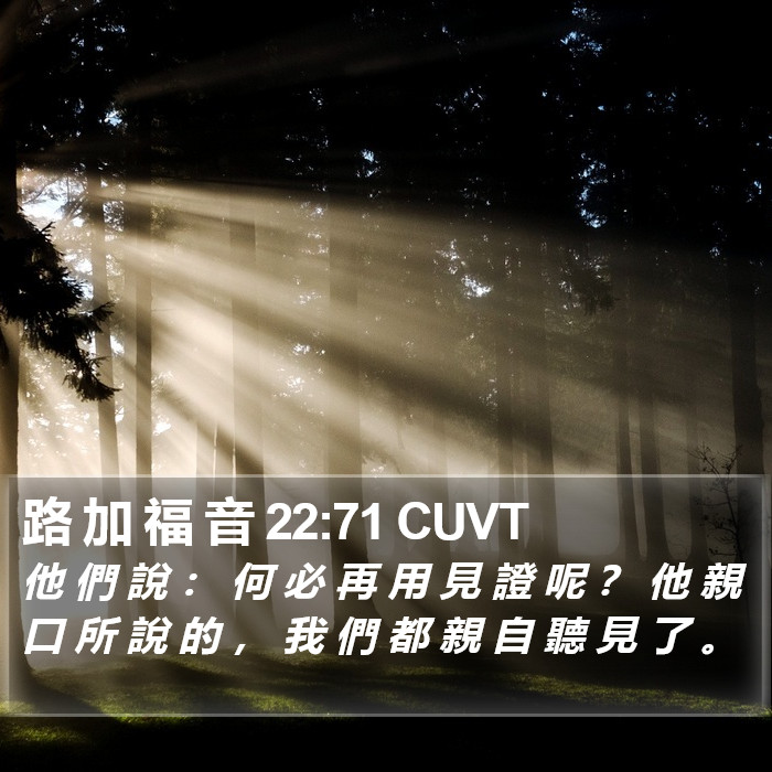 路 加 福 音 22:71 CUVT Bible Study