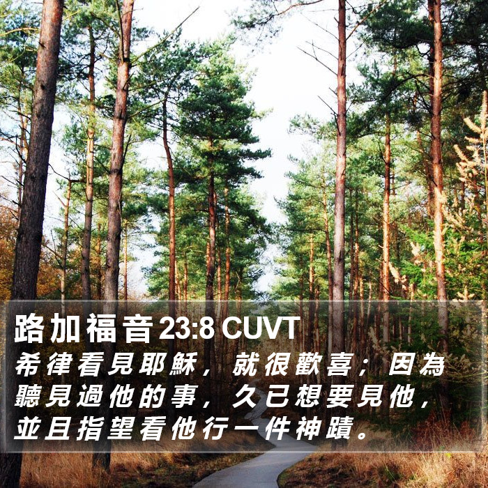 路 加 福 音 23:8 CUVT Bible Study