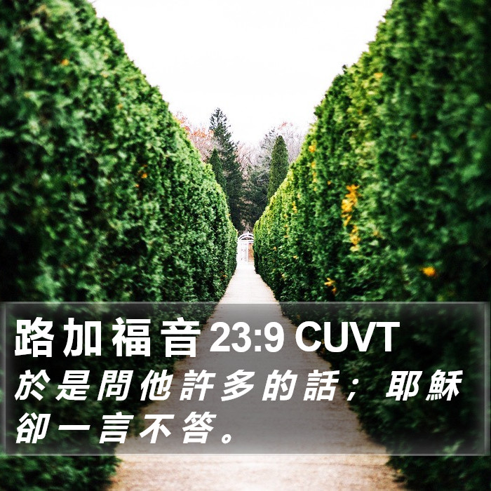 路 加 福 音 23:9 CUVT Bible Study