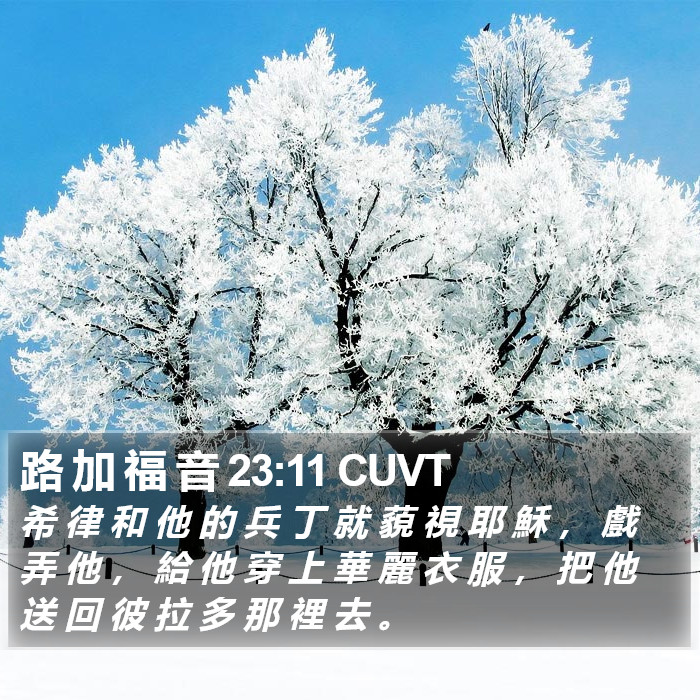 路 加 福 音 23:11 CUVT Bible Study