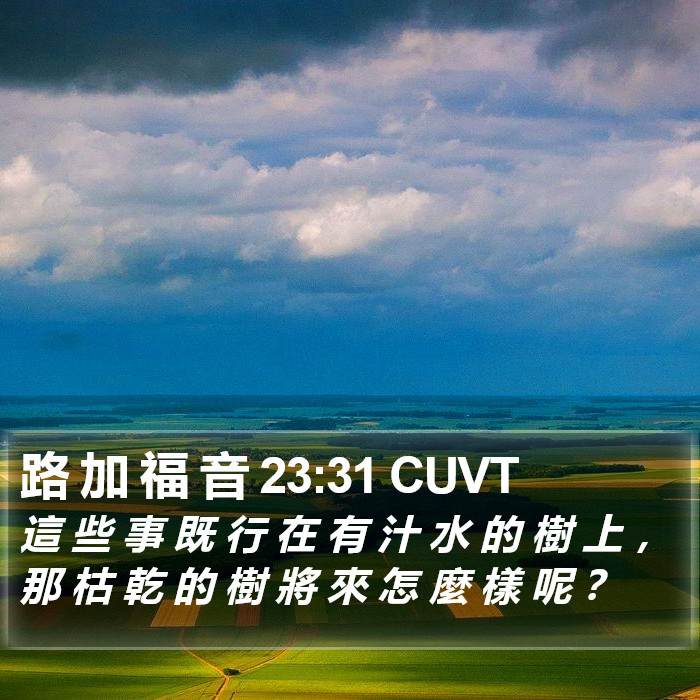 路 加 福 音 23:31 CUVT Bible Study