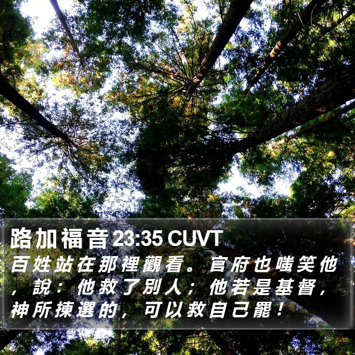 路 加 福 音 23:35 CUVT Bible Study