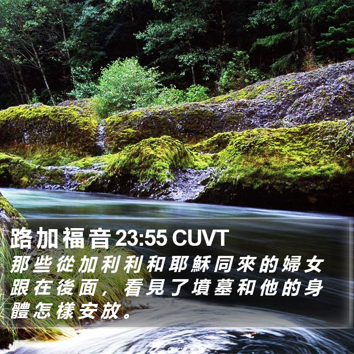 路 加 福 音 23:55 CUVT Bible Study