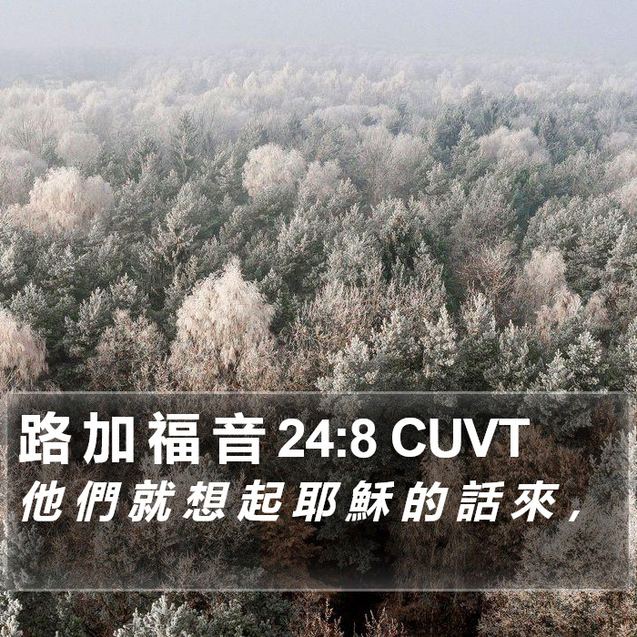 路 加 福 音 24:8 CUVT Bible Study