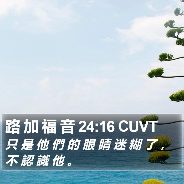 路 加 福 音 24:16 CUVT Bible Study