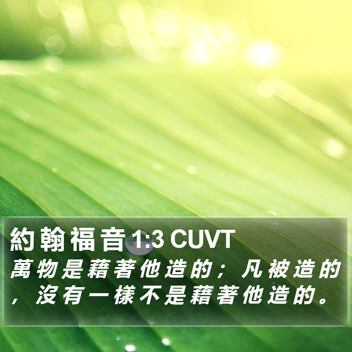 約 翰 福 音 1:3 CUVT Bible Study