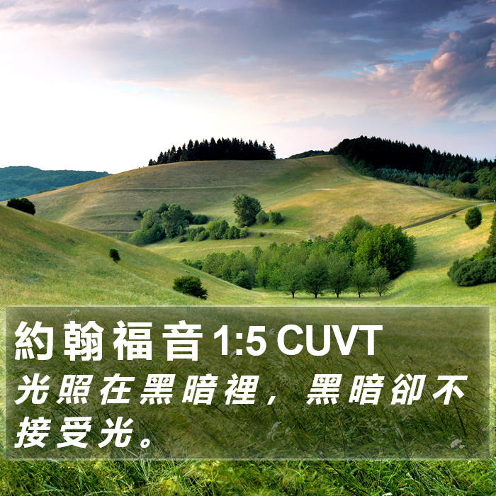 約 翰 福 音 1:5 CUVT Bible Study