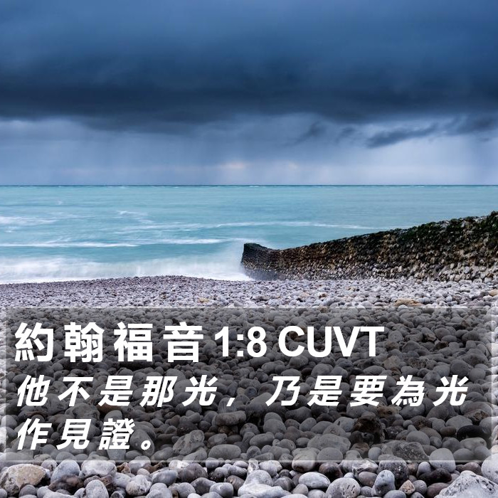 約 翰 福 音 1:8 CUVT Bible Study