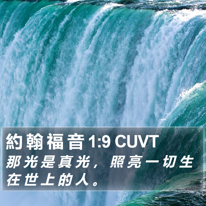 約 翰 福 音 1:9 CUVT Bible Study