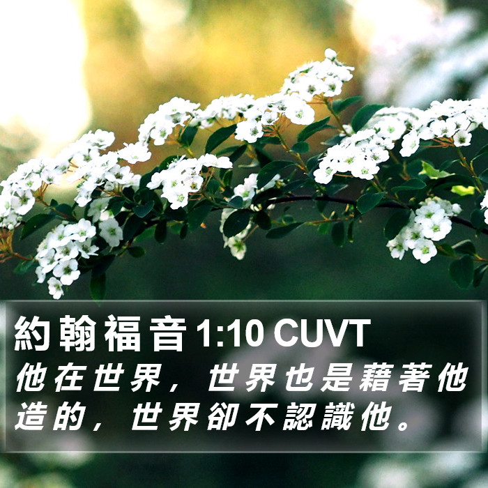 約 翰 福 音 1:10 CUVT Bible Study