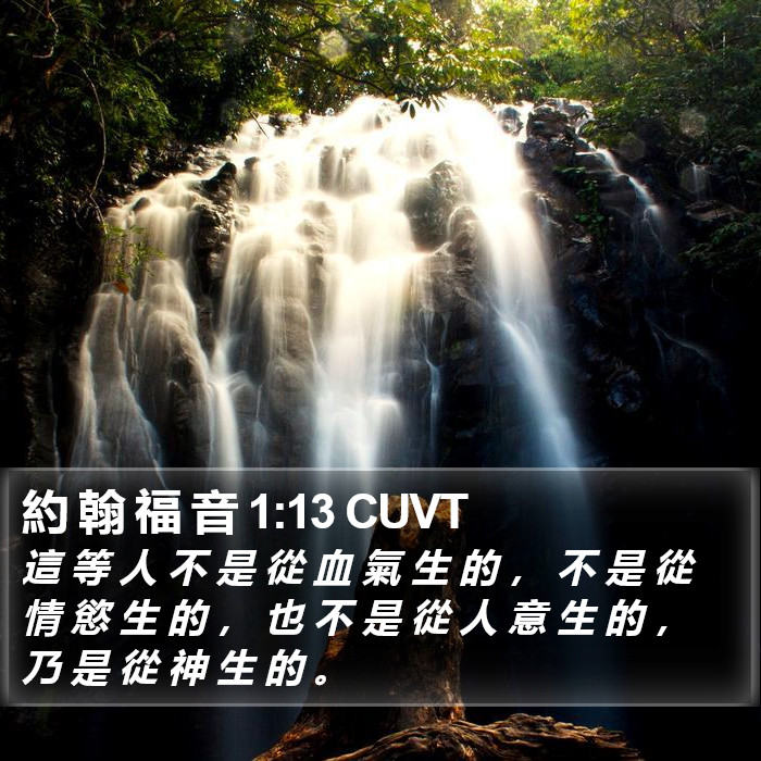 約 翰 福 音 1:13 CUVT Bible Study